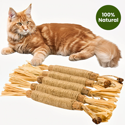 Amouryn Natural Silvervine Dental Sticks