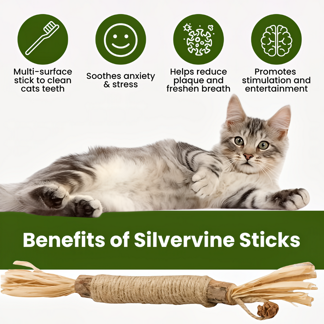 Amouryn Natural Silvervine Dental Sticks