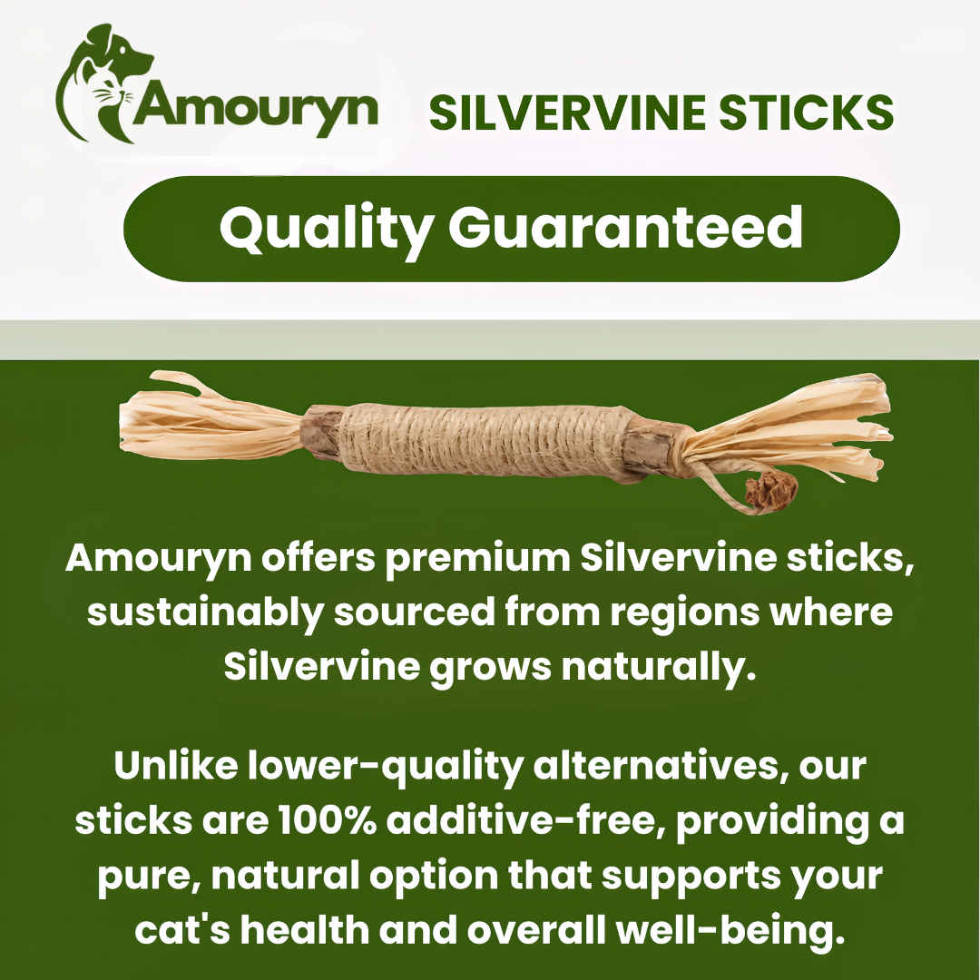 Amouryn Natural Silvervine Dental Sticks