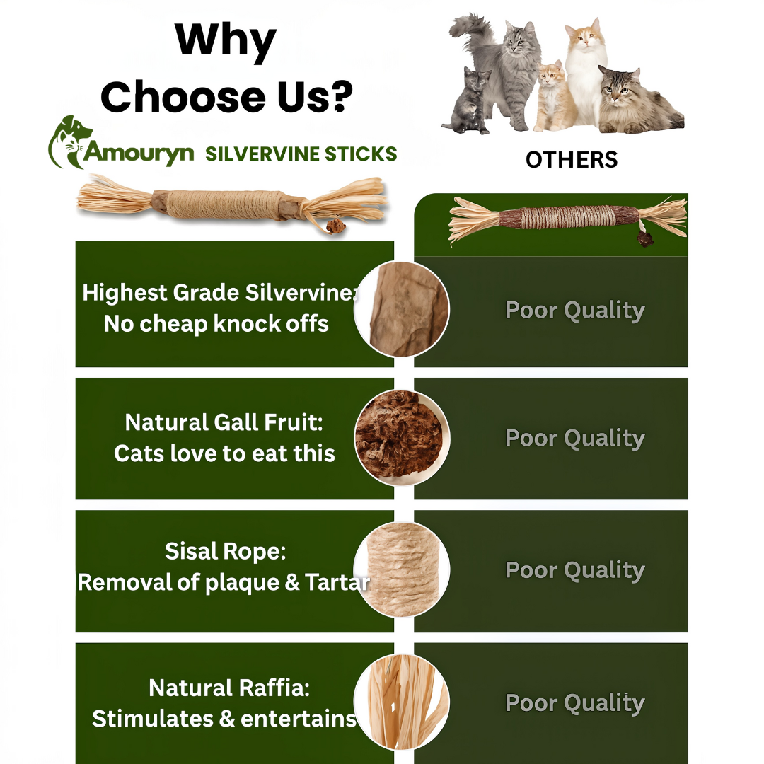 Amouryn Natural Silvervine Dental Sticks