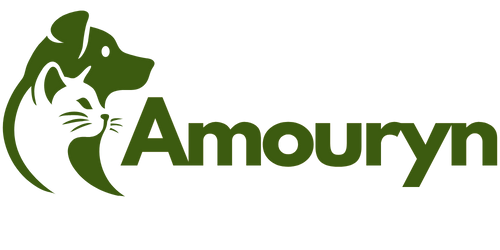 Amouryn